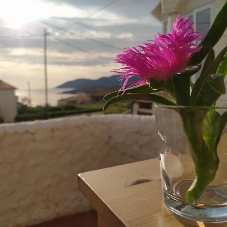 Apartament Port De La Selva El Port De La Selva 외부 사진