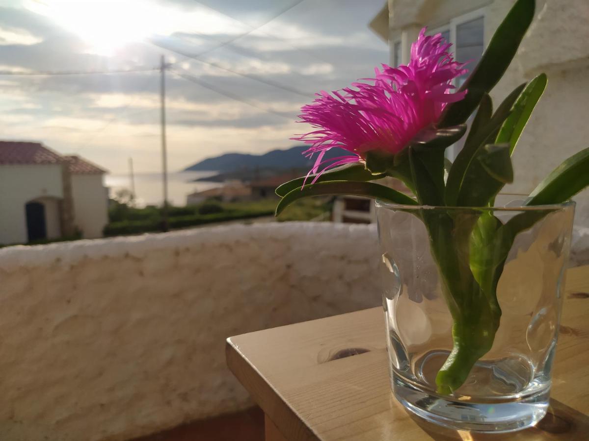 Apartament Port De La Selva El Port De La Selva 외부 사진